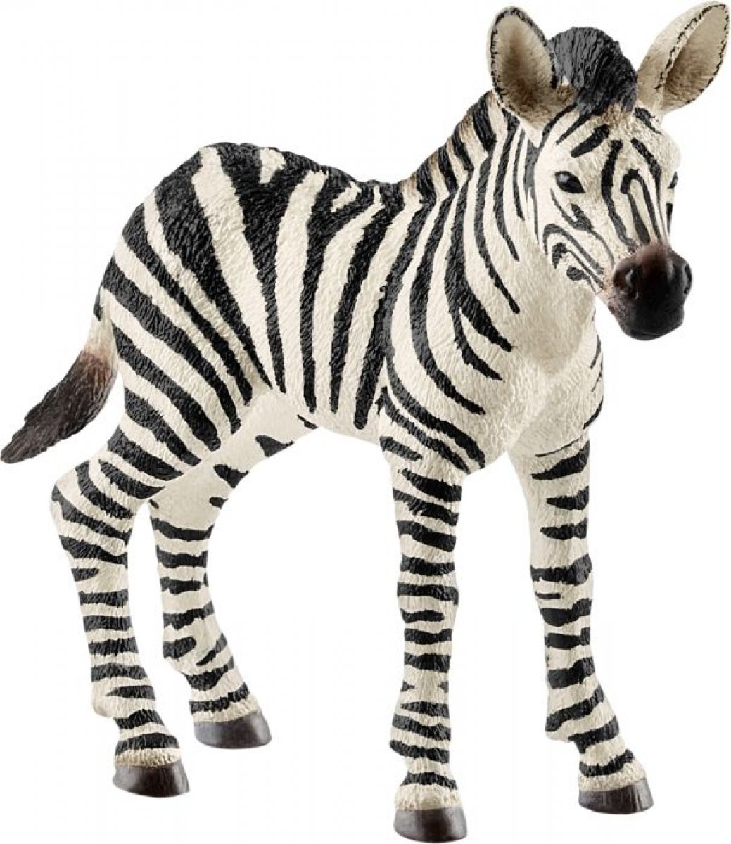 Schleich 14811 - Wild Life Zebra Fohlen