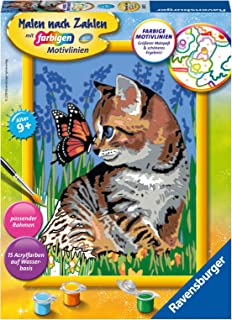 Malen nach Zahlen - Katze mit Schmetterling