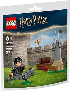 LEGO Harry Potter 30706 Quidditch™ Training